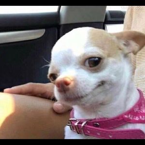 Meet your Posher, Alejandra